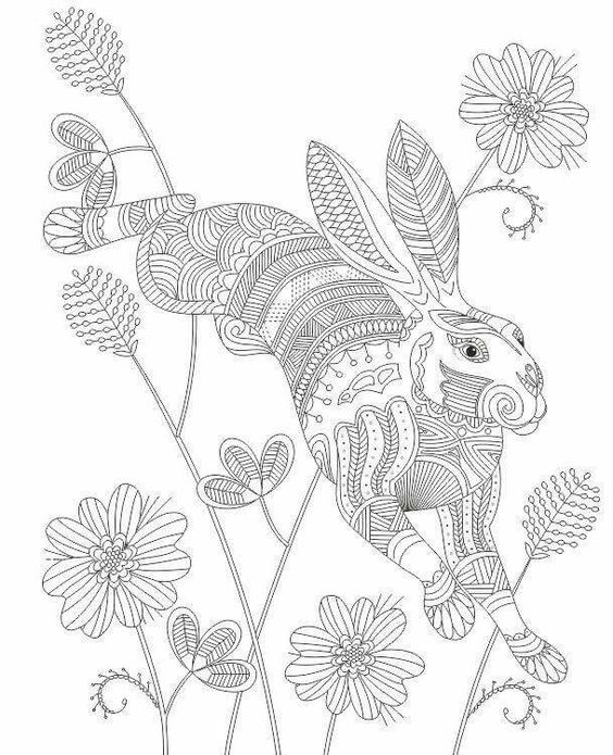 Jack Rabbit coloring #4, Download drawings