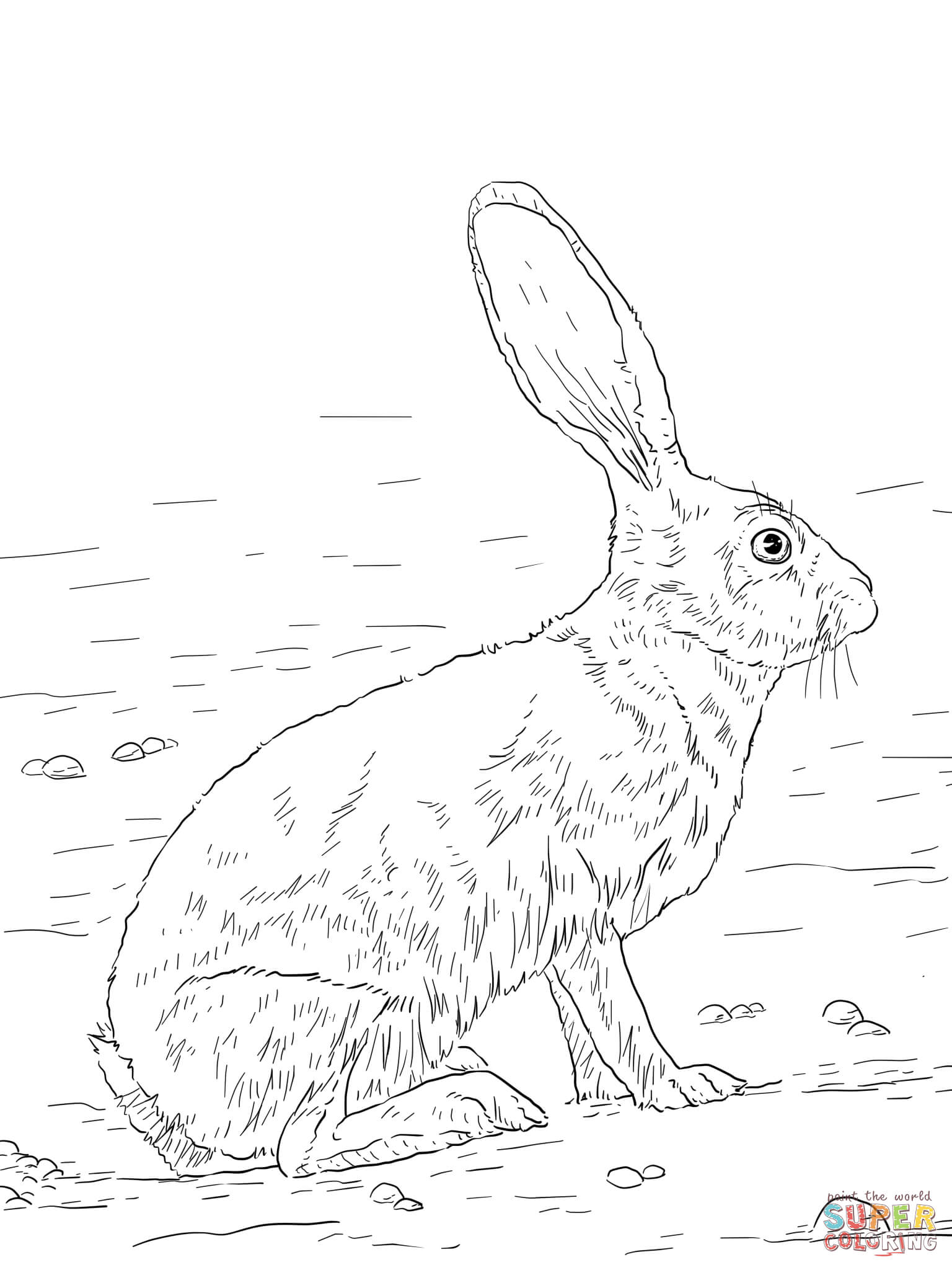 Jack Rabbit coloring #7, Download drawings