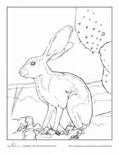 Jack Rabbit coloring #17, Download drawings