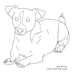 Jack Russell Terrier coloring #8, Download drawings