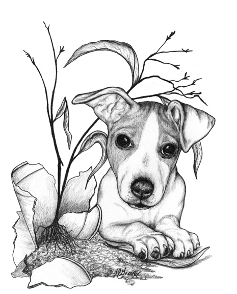 Jack Russell Terrier coloring #5, Download drawings