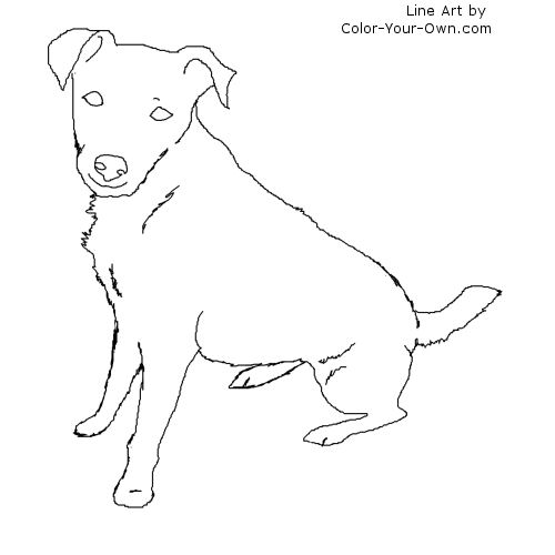 Jack Russell Terrier coloring #19, Download drawings