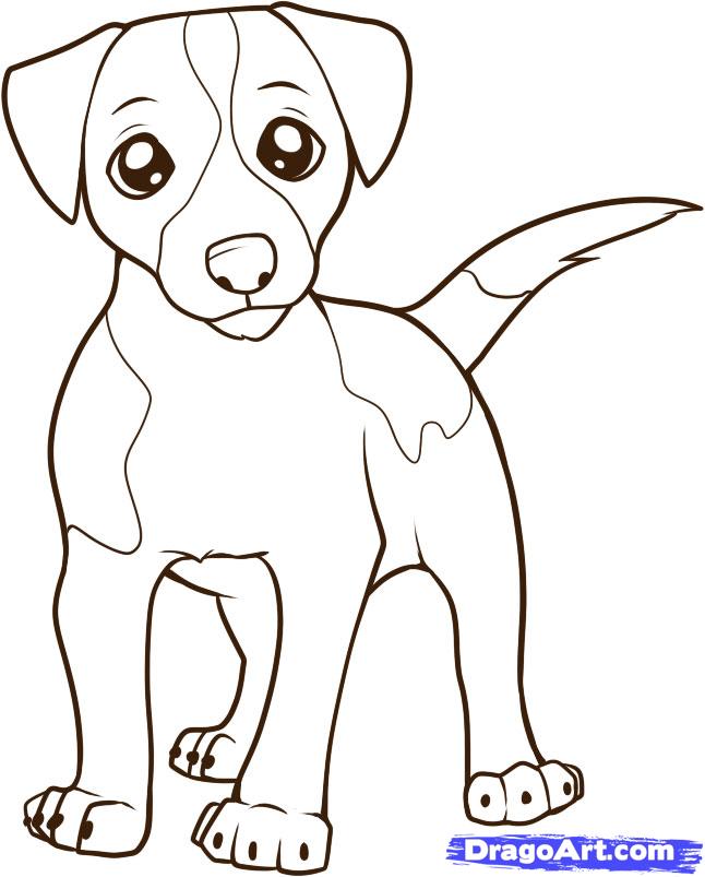 Jack Russell Terrier coloring #17, Download drawings