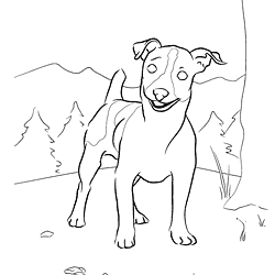 Jack Russell Terrier coloring #18, Download drawings