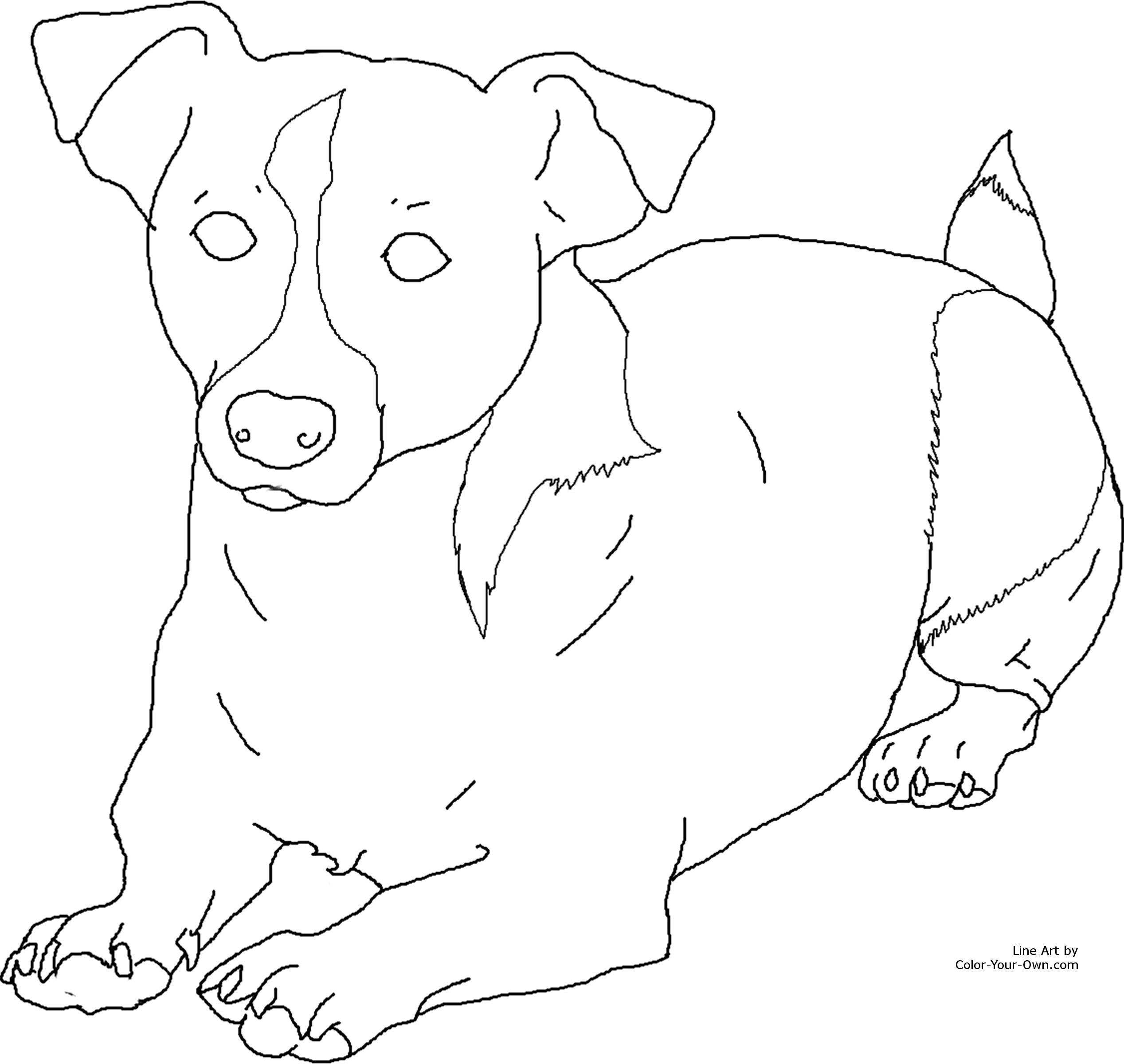 Jack Russell Terrier coloring #10, Download drawings
