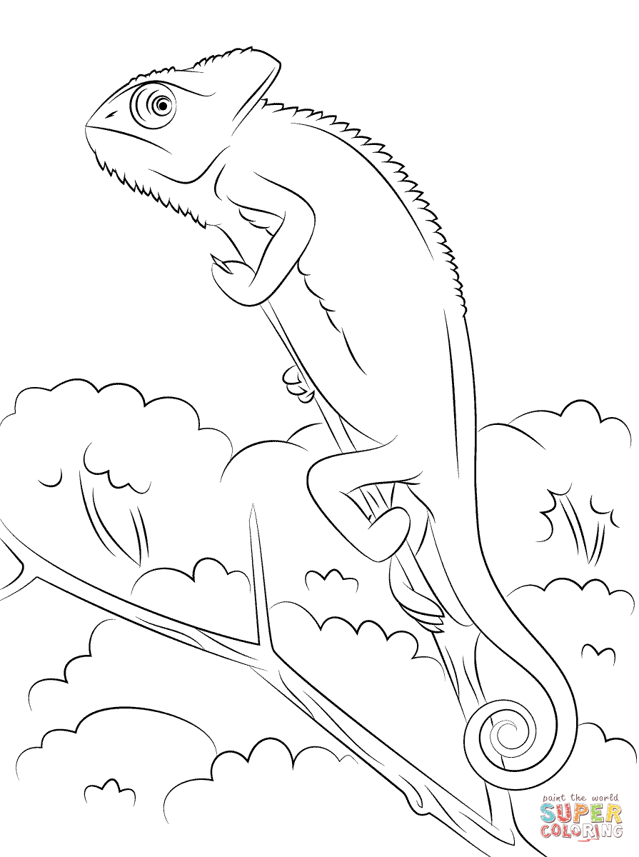 Jackson's Chameleon coloring #6, Download drawings