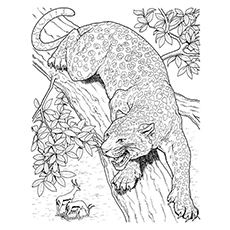 Jaguar coloring #19, Download drawings