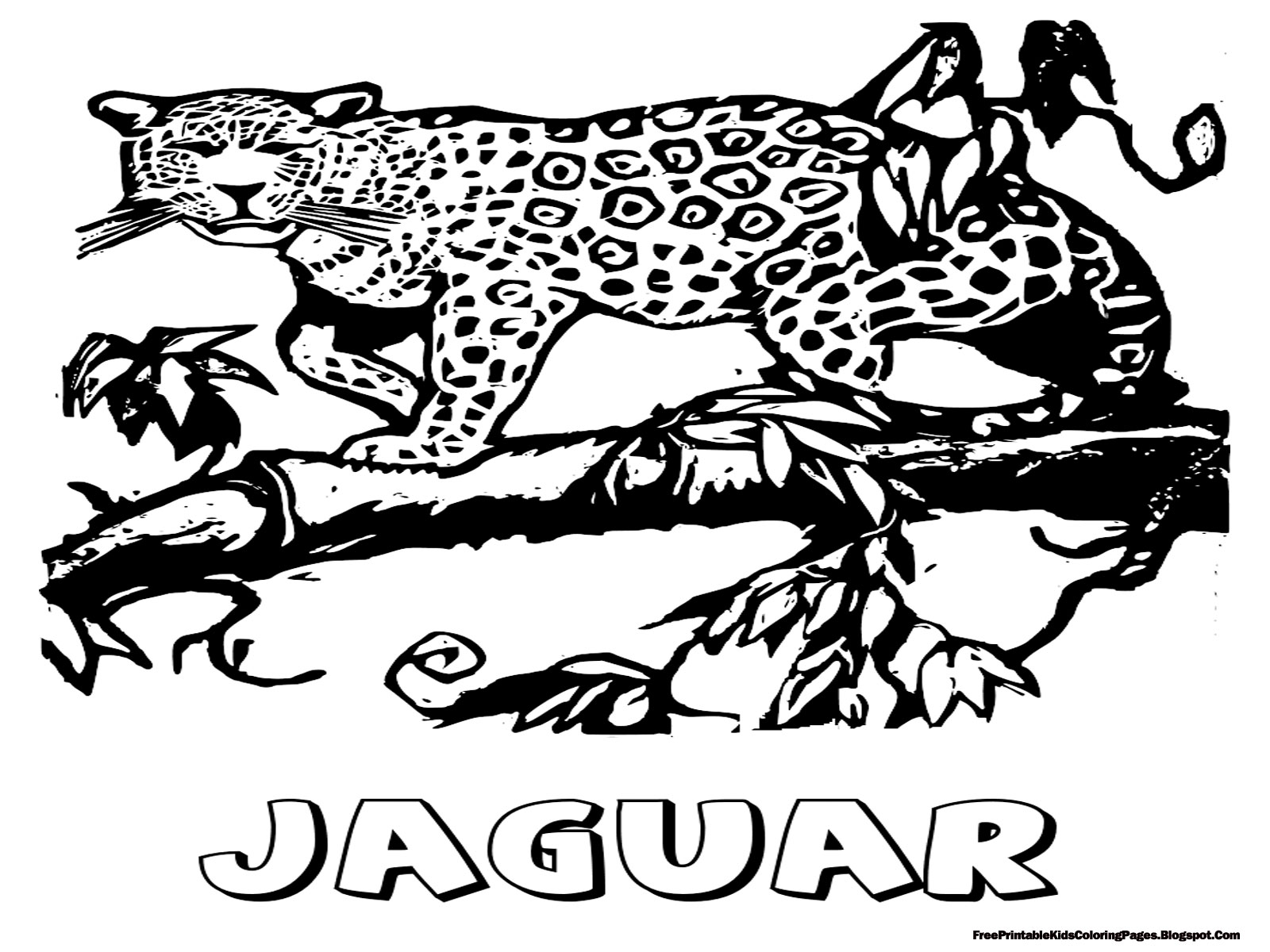 Jaguar coloring #12, Download drawings