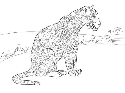 Jaguar coloring #5, Download drawings