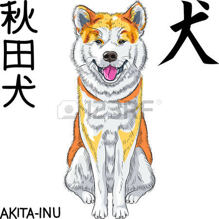 Japanese Akita coloring #9, Download drawings
