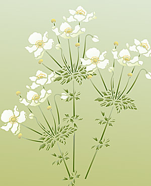 Japanese Anemone svg #14, Download drawings