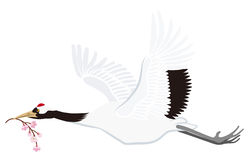 Japanese Crane clipart #16, Download drawings