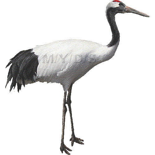 Red-crowned Crane clipart #7, Download drawings