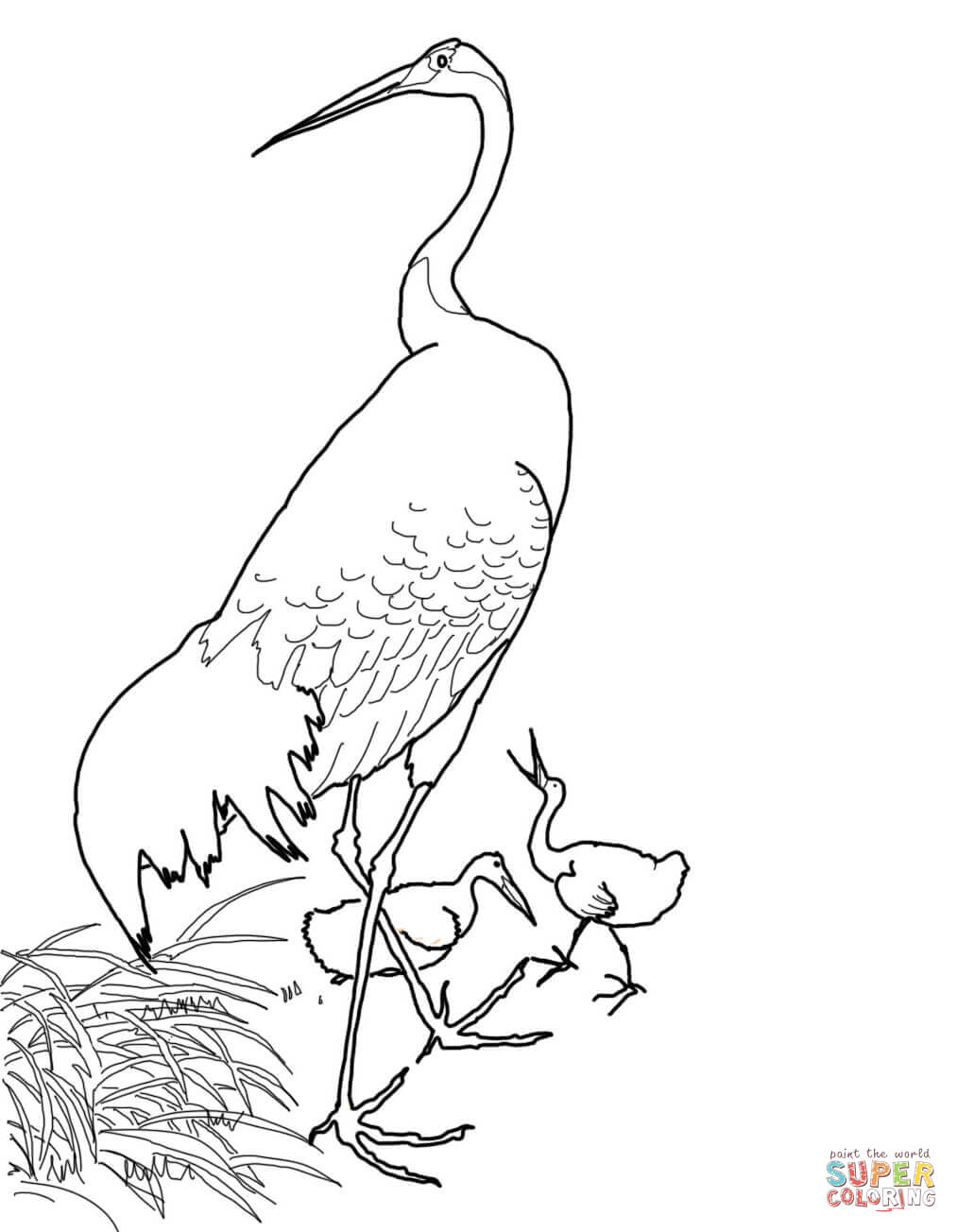 Red-crowned Crane coloring #14, Download drawings