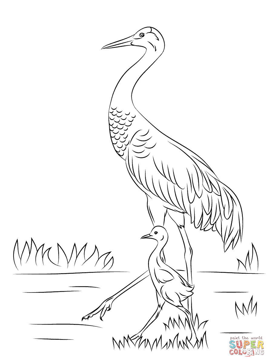 Siberian Crane coloring #6, Download drawings