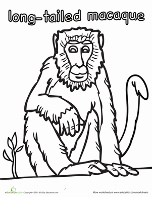 Macaque coloring #2, Download drawings