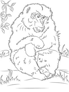Japanese Macaque coloring #16, Download drawings