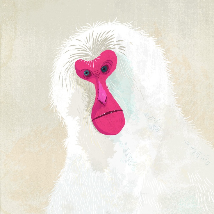 Japanese Macaque svg #6, Download drawings