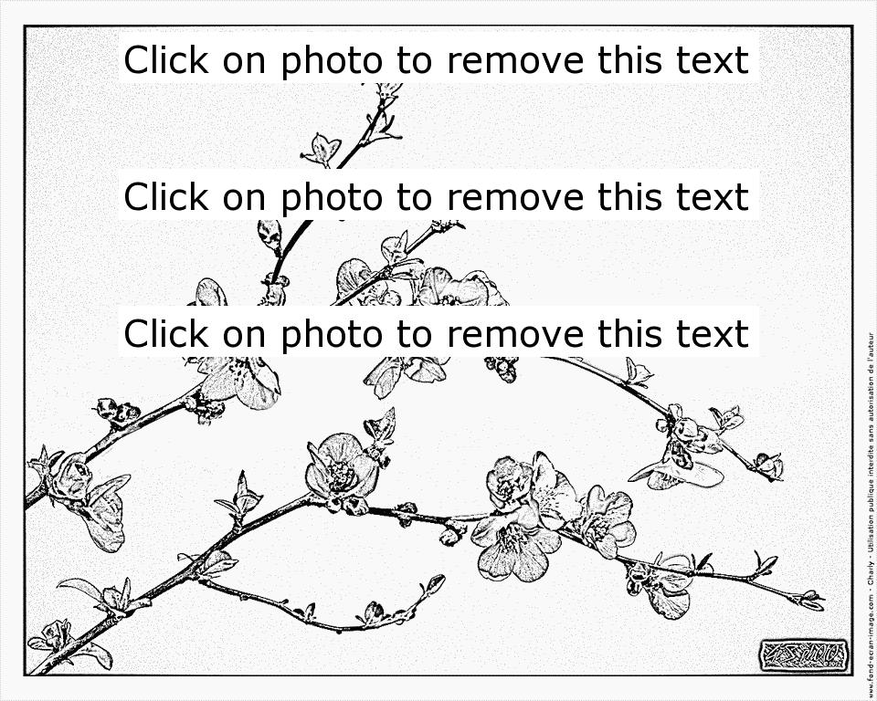 Japanese Quince coloring #16, Download drawings