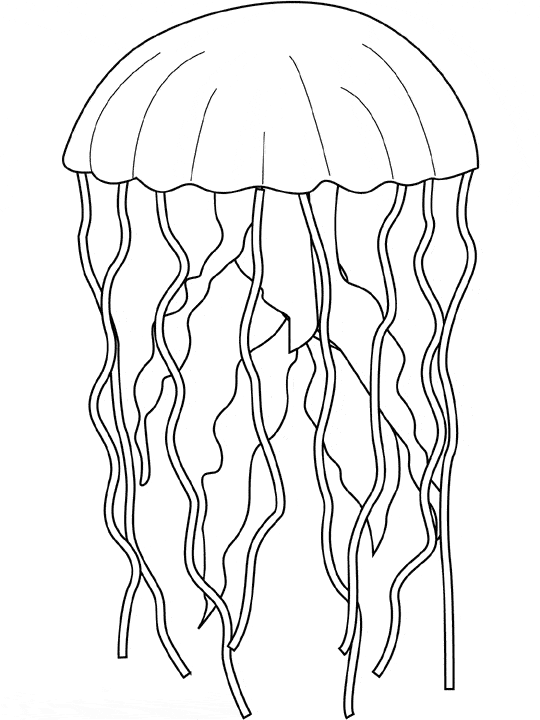 Jellyfish coloring #10, Download drawings
