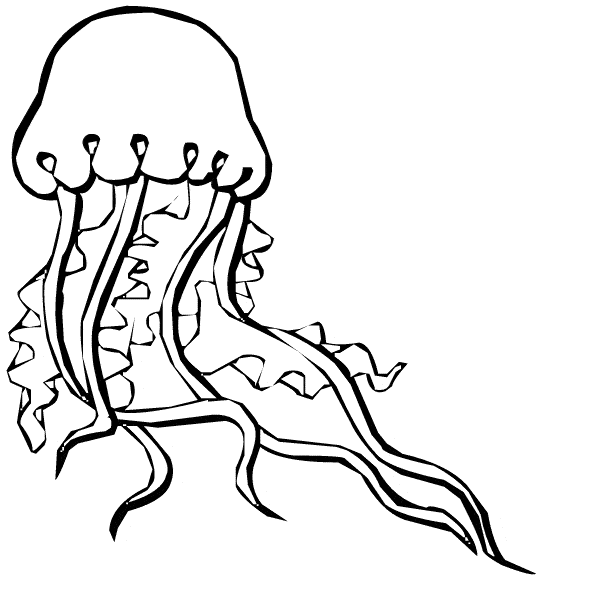 Jellyfish coloring #3, Download drawings
