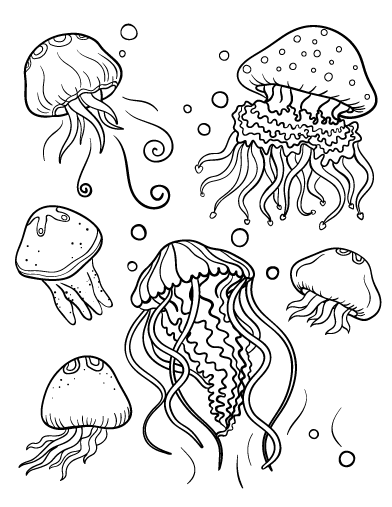 Jellyfish coloring #16, Download drawings