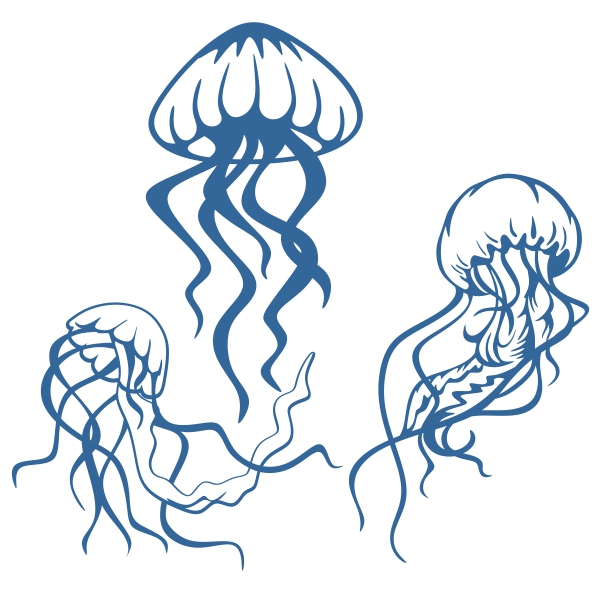 Jellyfish svg #119, Download drawings