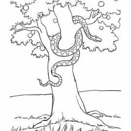Joshua Tree coloring #6, Download drawings