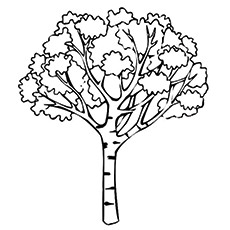 Joshua Tree coloring #16, Download drawings
