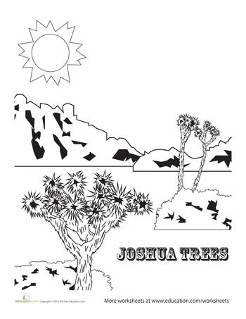 Joshua Tree National Park coloring #18, Download drawings