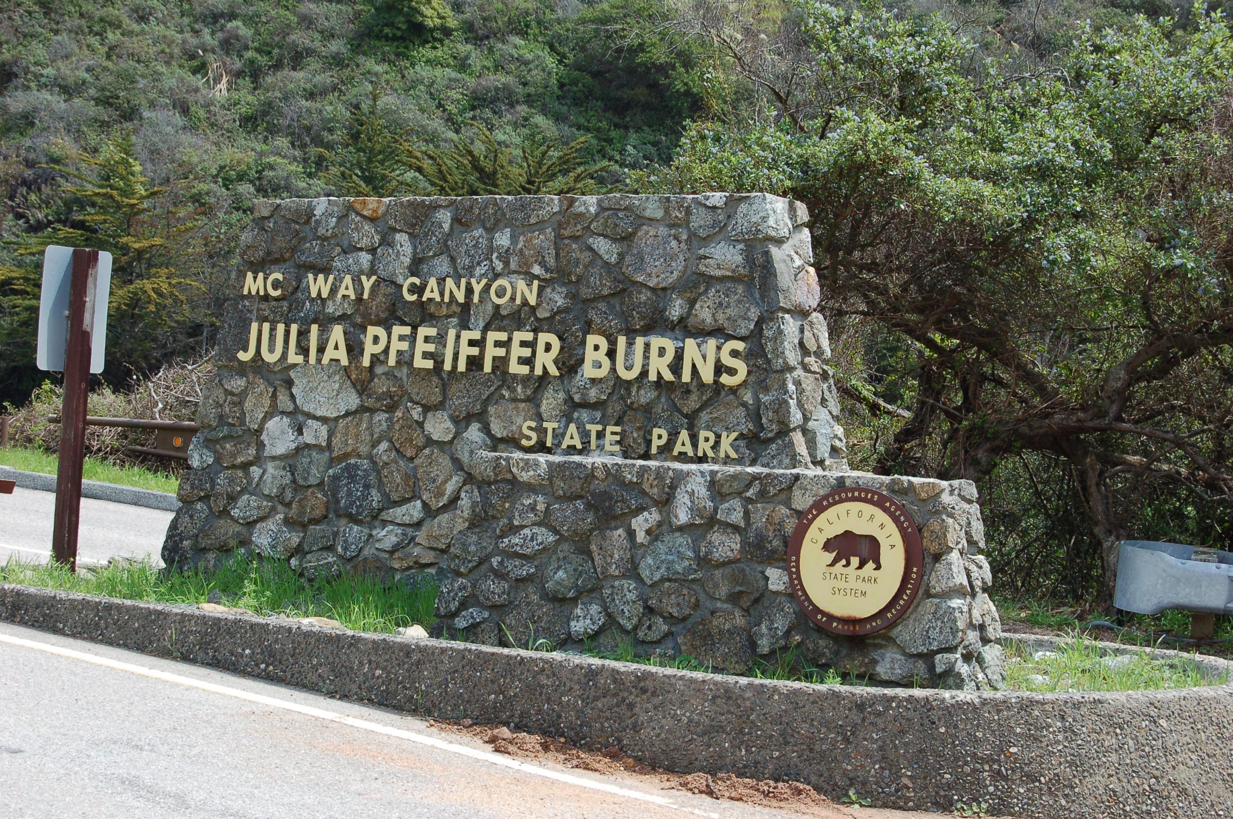 Julia Pfeiffer Burns State Park svg #3, Download drawings