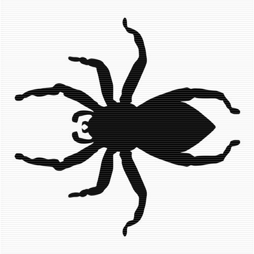 Jumping Spider svg #17, Download drawings