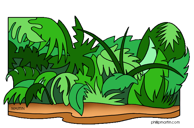 Jungle clipart #20, Download drawings