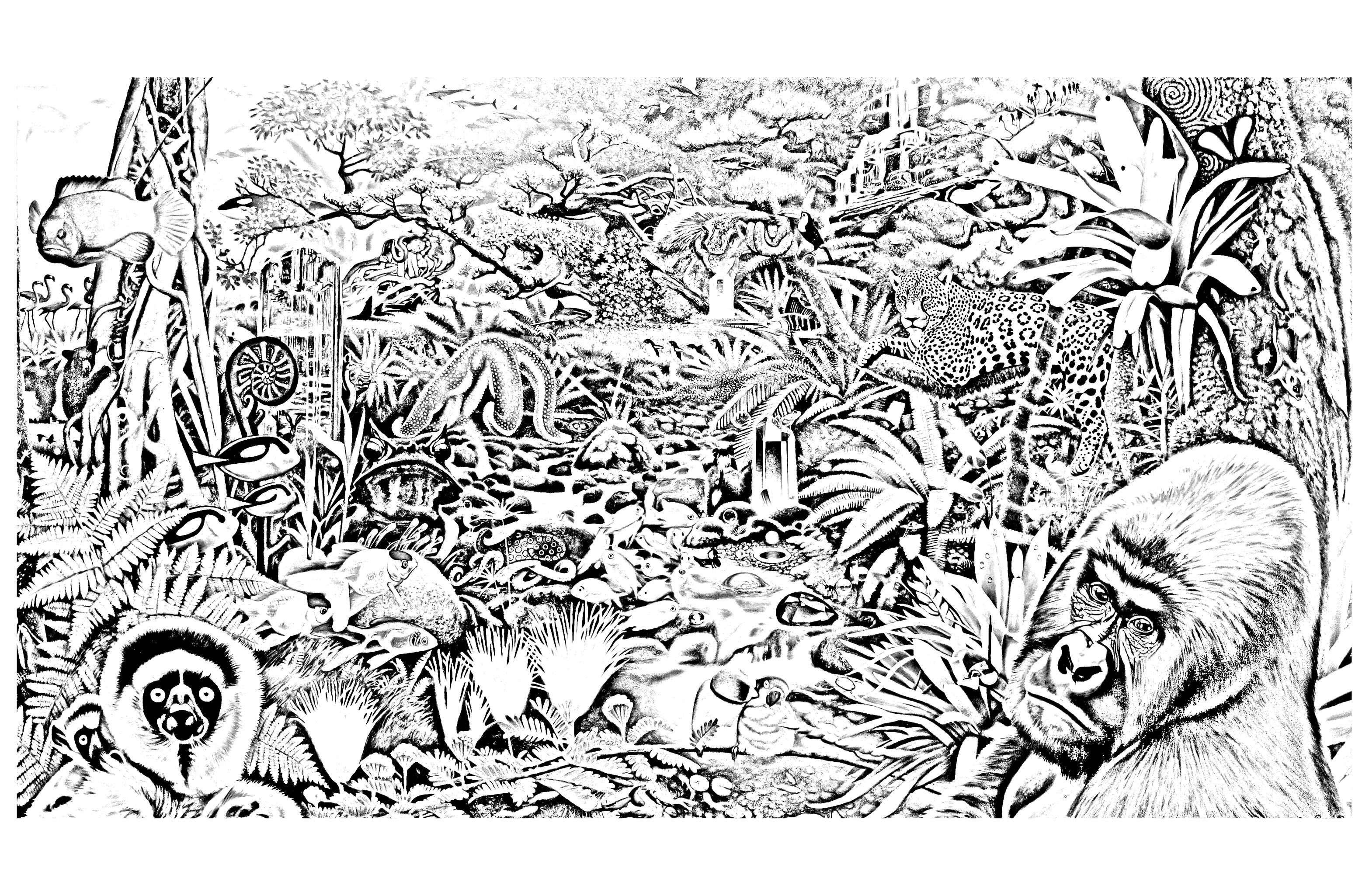 Jungle coloring #4, Download drawings