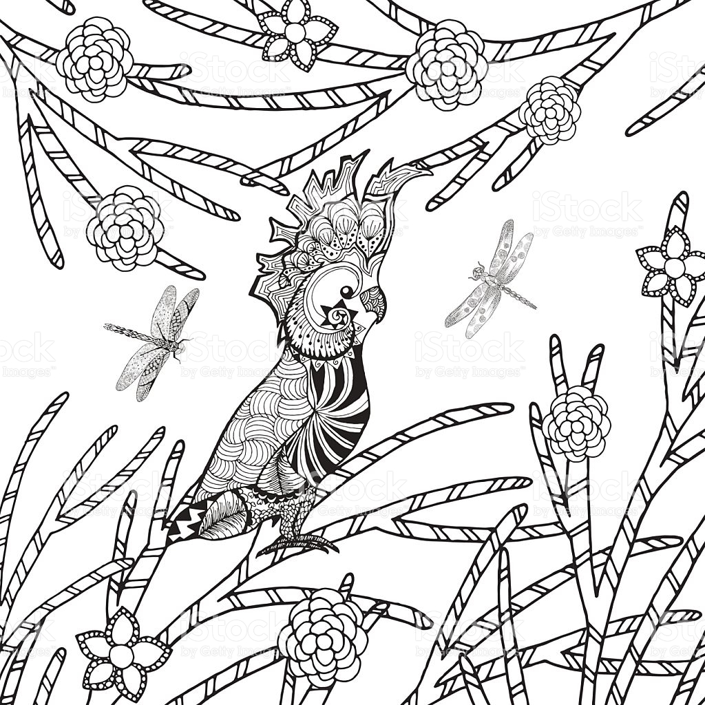 Kakadu coloring #4, Download drawings