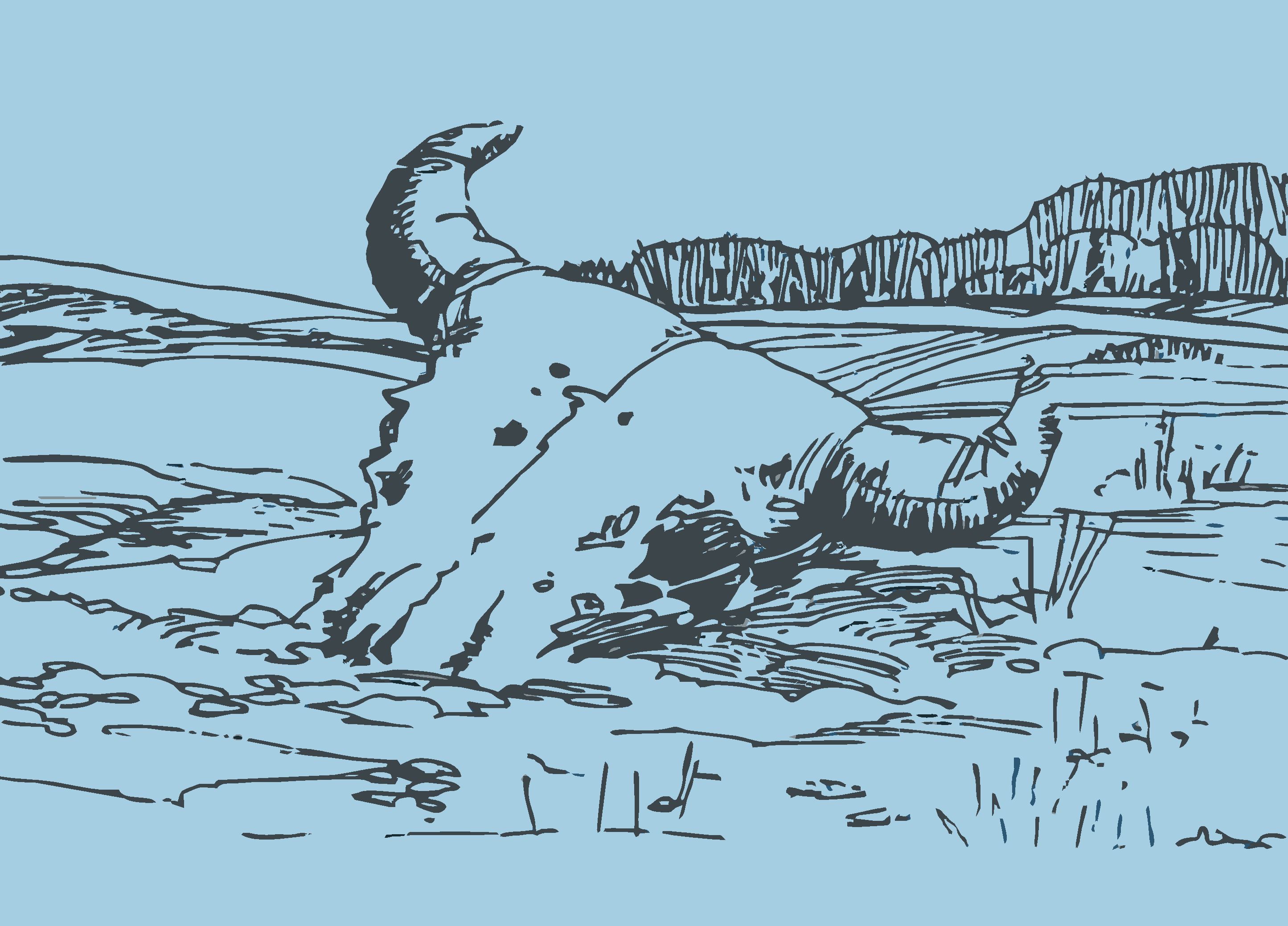 Kananaskis Lakes coloring #7, Download drawings