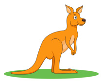 Kangaroo clipart #20, Download drawings