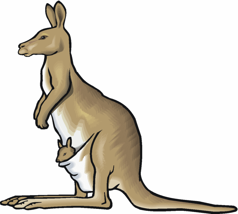 Kangaroo clipart #4, Download drawings