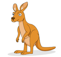 Kangaroo clipart #5, Download drawings