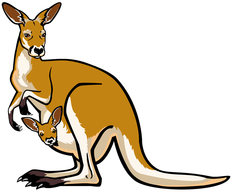Kangaroo clipart #15, Download drawings