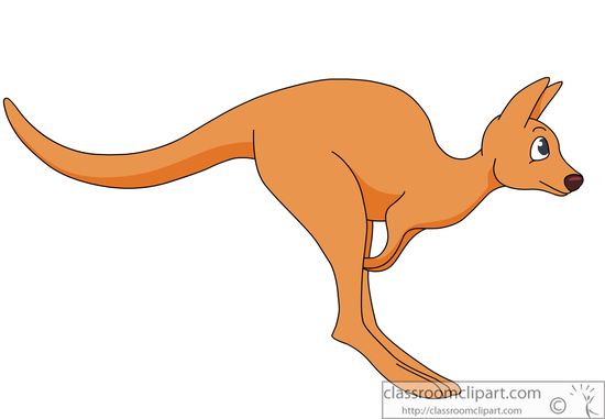 Kangaroo clipart #19, Download drawings