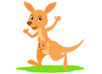 Kangaroo clipart #16, Download drawings