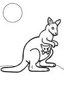 Kangaroo coloring #17, Download drawings