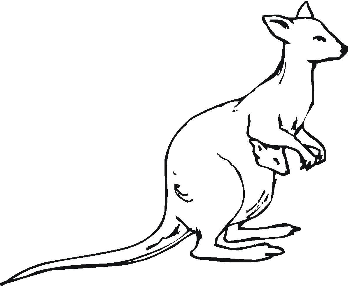 Kangaroo coloring #6, Download drawings