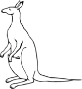 Kangaroo coloring #18, Download drawings