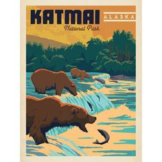 Katmai National Park clipart #6, Download drawings