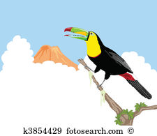 Keel-billed Toucan clipart #18, Download drawings