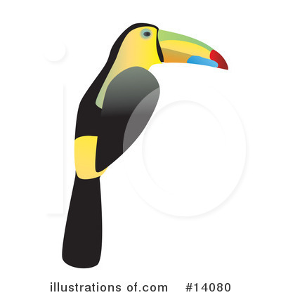 Toucan clipart #8, Download drawings