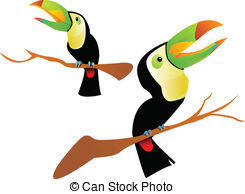 Keel-billed Toucan clipart #14, Download drawings
