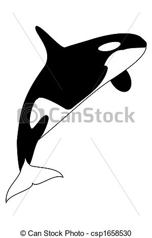Killer Whale clipart #14, Download drawings